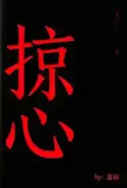 掠心